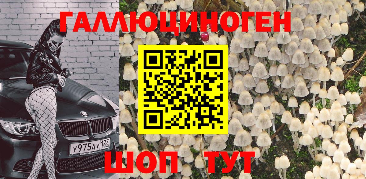 Псилоцибиновые грибы MAGIC MUSHROOMS Курчатов
