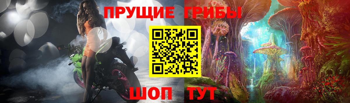Курчатов  Псилоцибиновые грибы мухоморы  Вход с VPN 